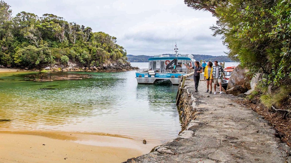 Stewart Island Ferry + Guided Rakiura Rainforest & Coastline Tour