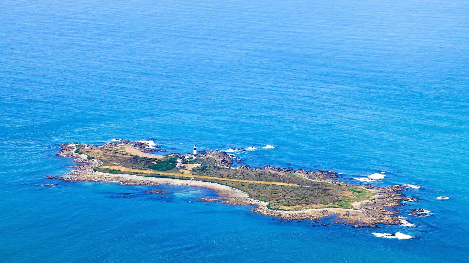 Foveaux Strait Wildlife & Seabird Cruise from Bluff
