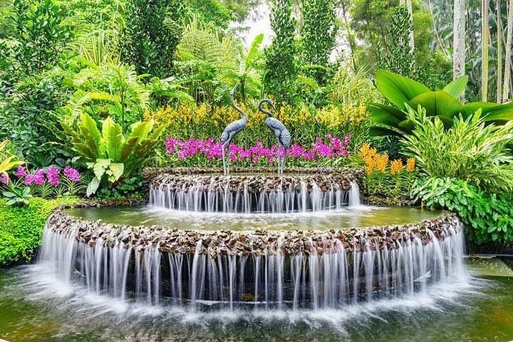 Singapore Botanic Gardens: UNESCO Garden & Private Orchid Experience