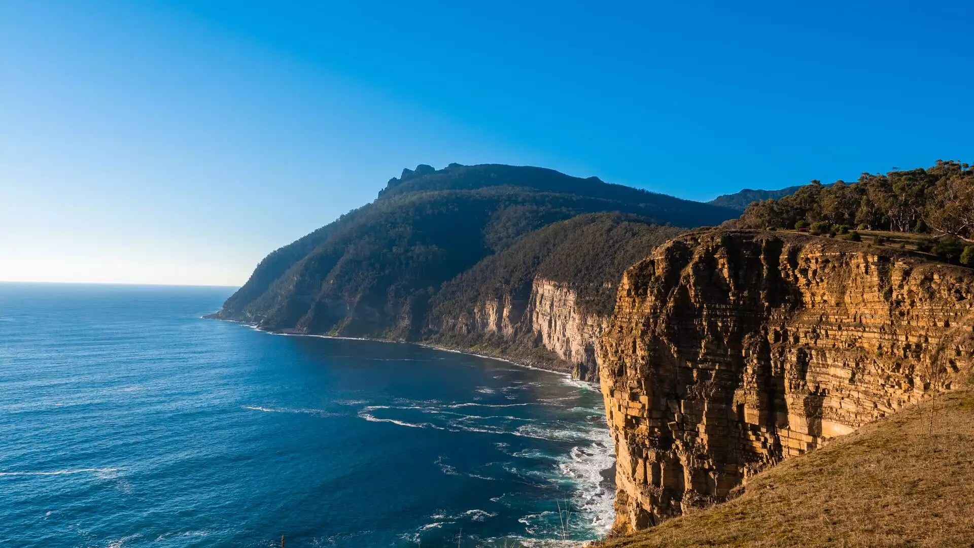 Maria Island Private Guided Walk: Convicts, Wombats & Coastal Cliffs