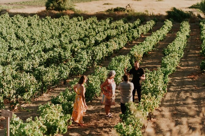 Kostantakis Winery: Exclusive Wine Tasting in the Milos Vineyards