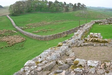 Hadrian's Wall: Housesteads Fort (Vercovicium) Private Expert Tour