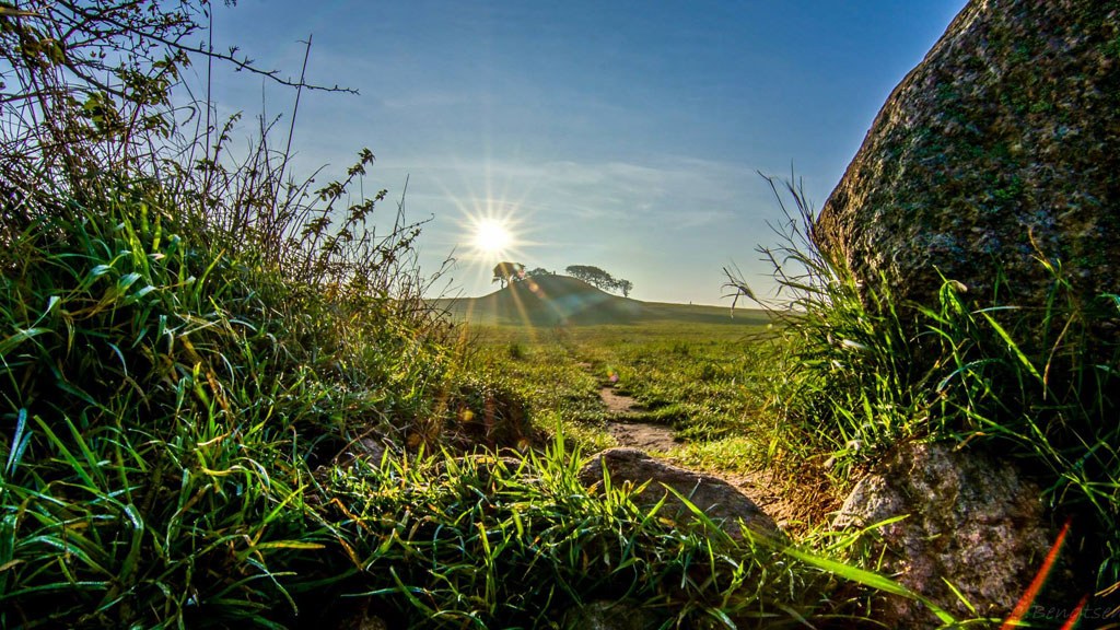 Vejrhøj Bronze Age Burial Mound: Ancient Horizons at Dusk
