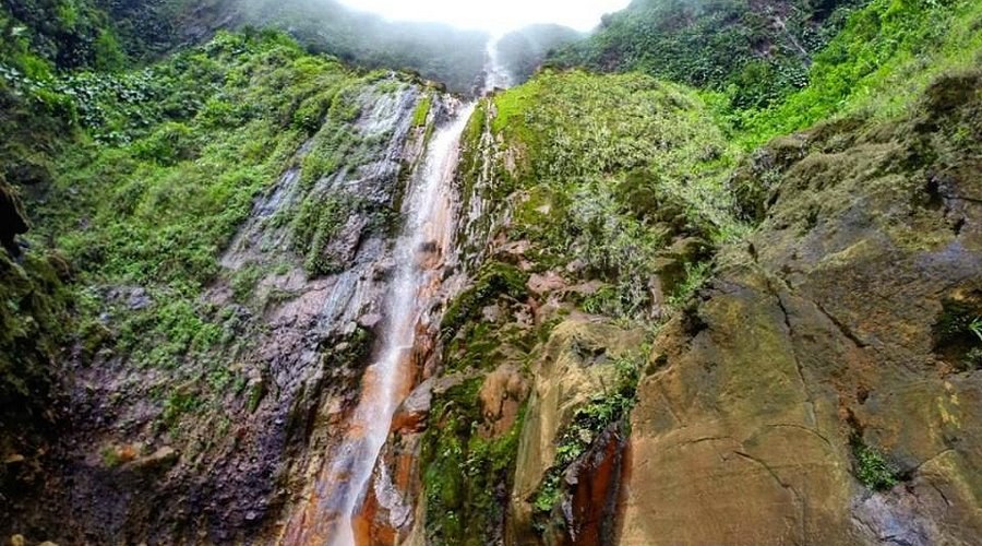 Carbet Falls: Expert-Led Jungle Hike to the 2nd Cascade