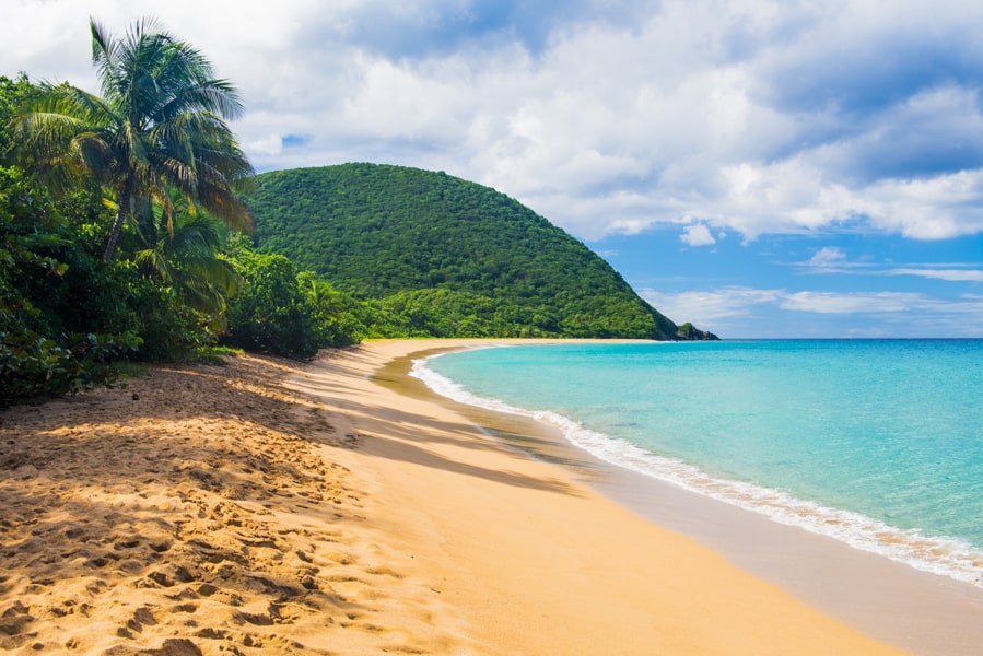 Plage de Grande Anse & Creole Market: Luxury Slow Morning