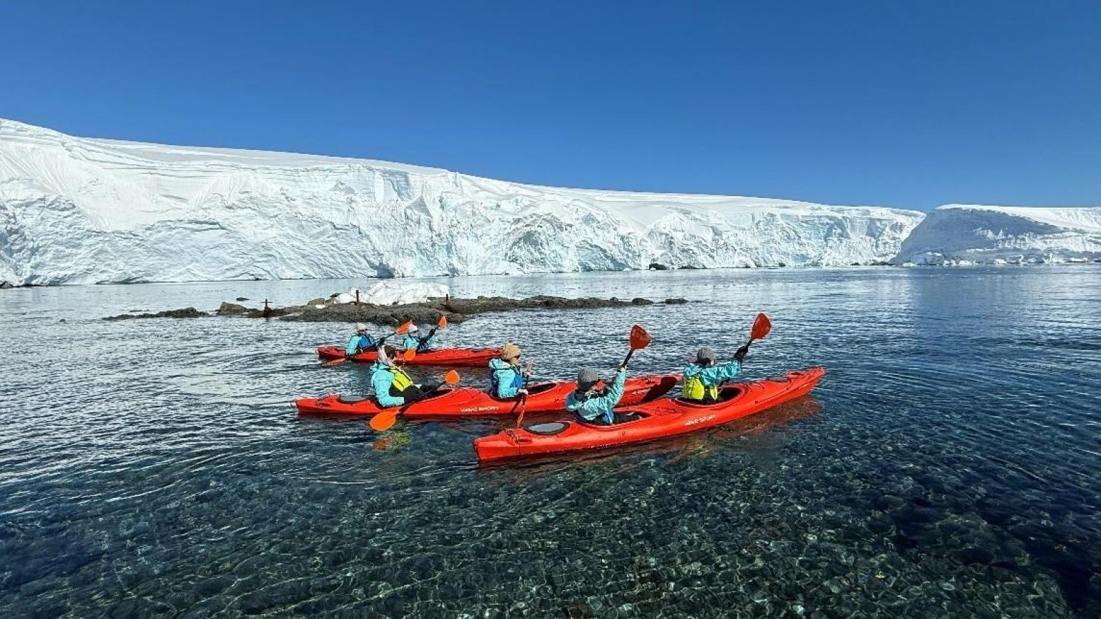 Kayaking Amongst Icebergs & Chinstrap Colonies