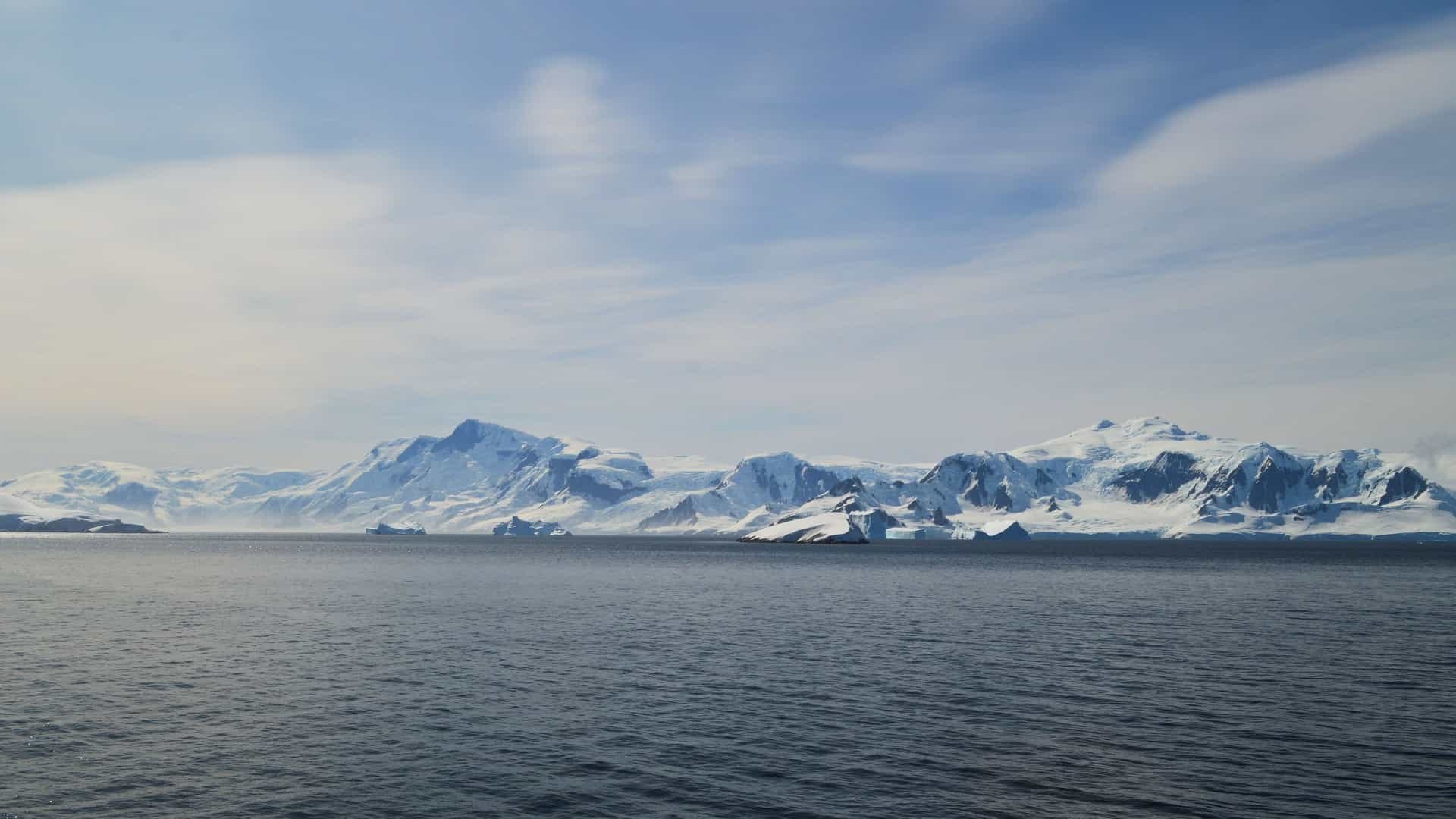 Private Zodiac Expedition: Schollaert Channel Ice & Wildlife