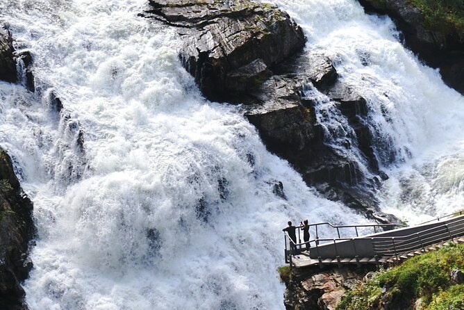 Vøringsfossen Waterfall & Hardangervidda: Guided Nature Tour