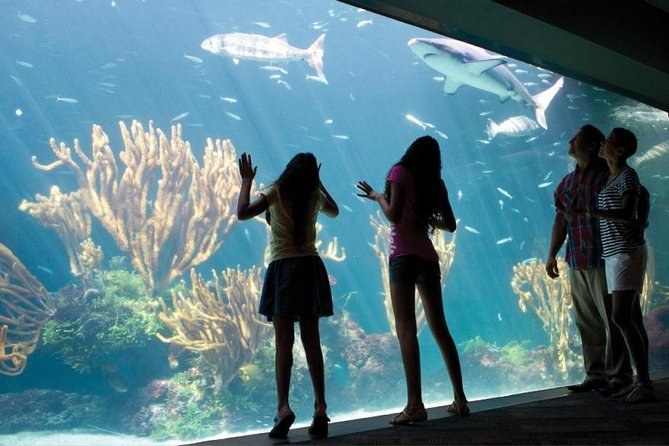 Bermuda Aquarium, Museum & Zoo: Expert-Guided Private Visit