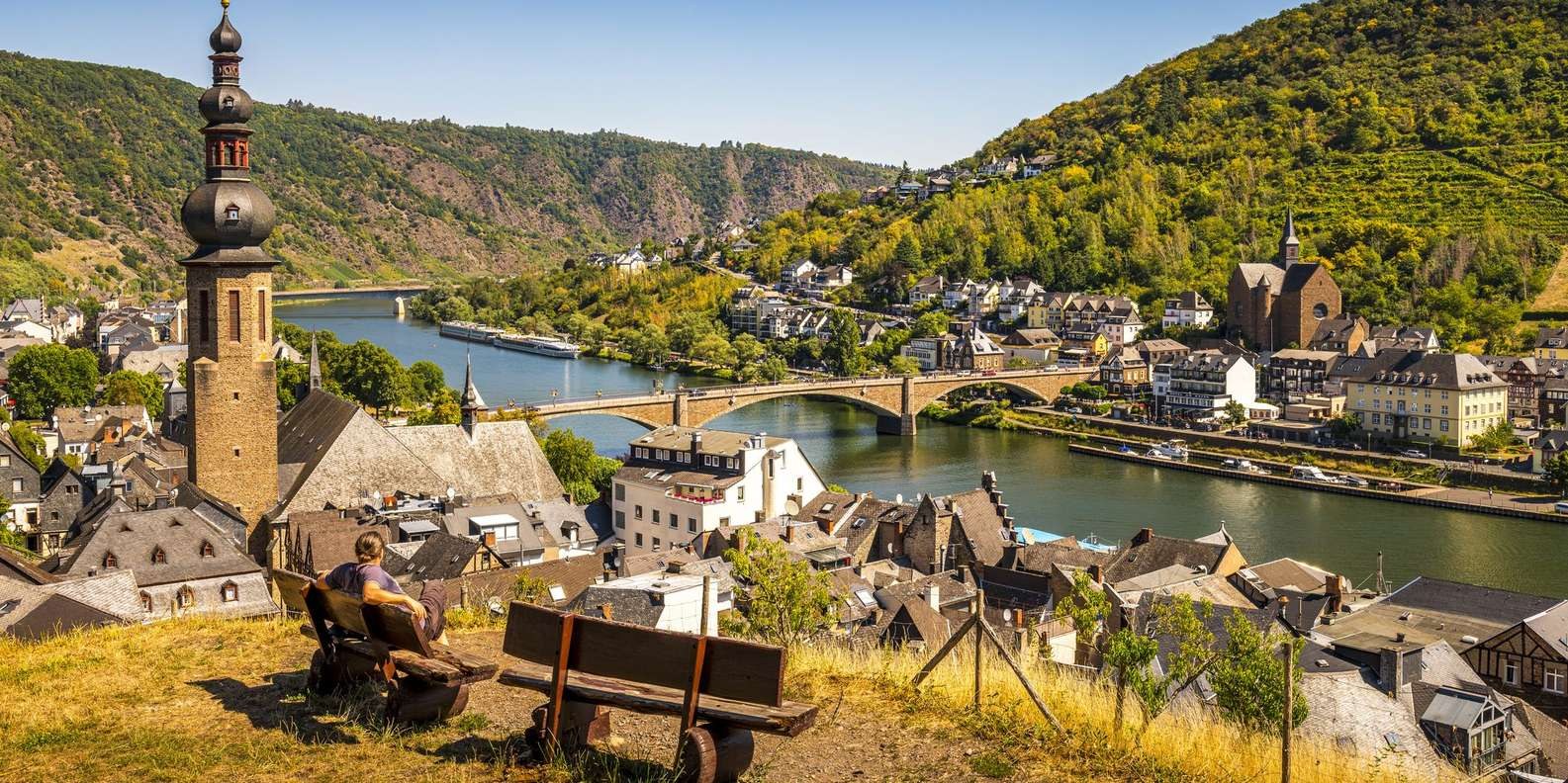 Palatinate Wine Region: Private Cellar & Vineyard Tasting