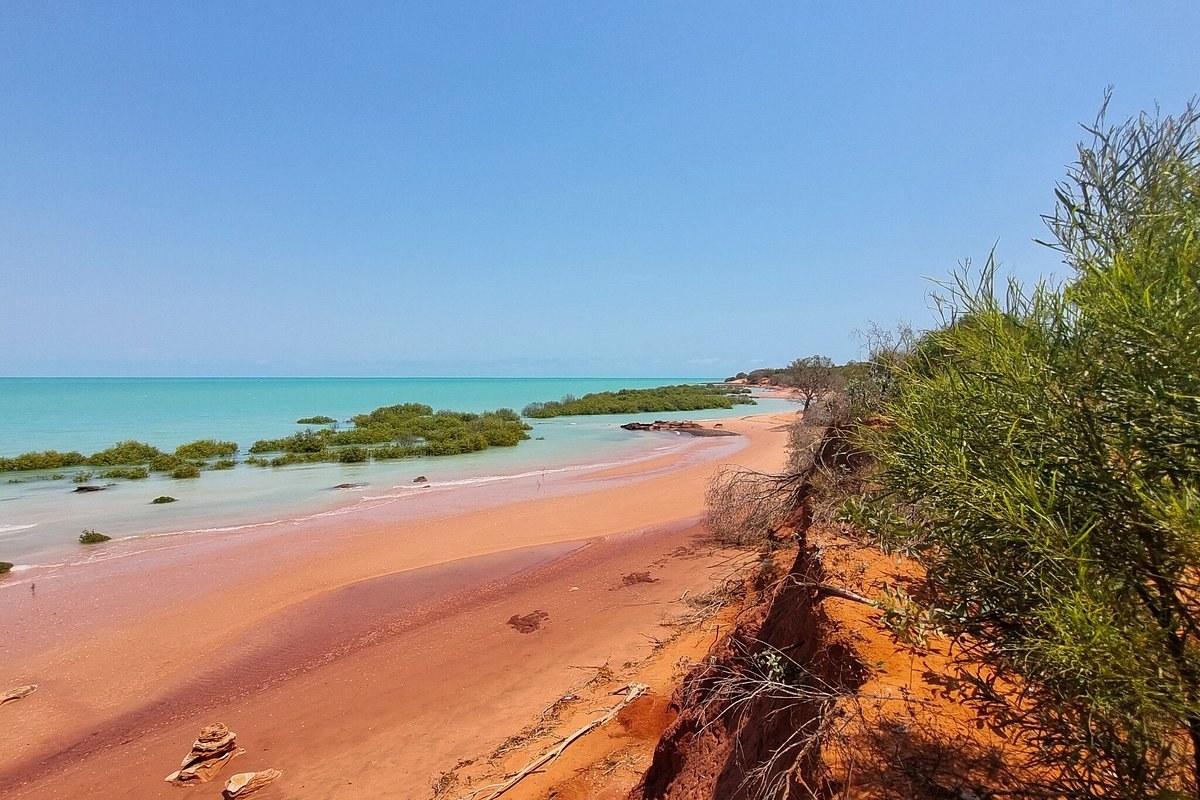 Broome Bird Observatory: Expert-Led Shorebird Safari on Roebuck Bay