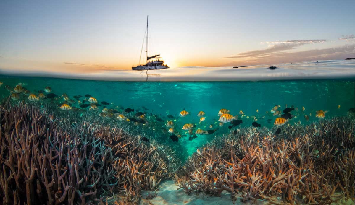 Ningaloo Reef Private Luxury Snorkel & Dive Sail