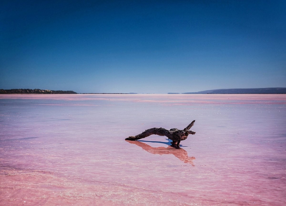 Midwest Adventure: Kalbarri Gorges, Pink Lake & Wildflowers