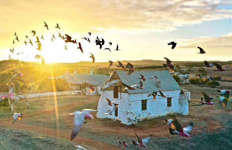 Oakabella Homestead: Pioneer Heritage & Wildflower Country Drive