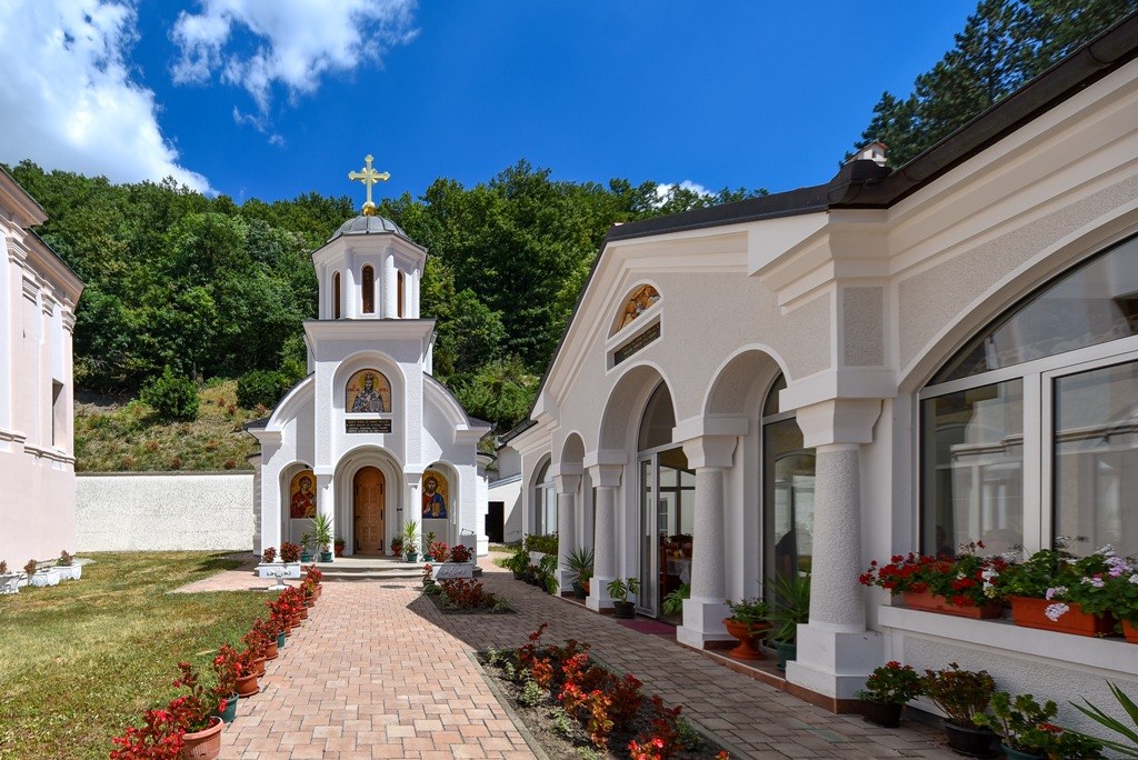 Fruška Gora Monastery Circuit & Reserve Wine Tasting