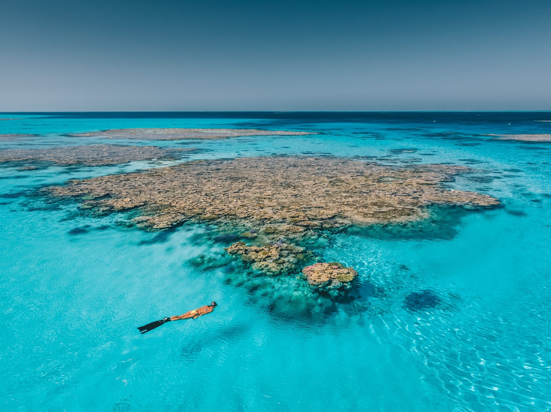 Rowley Shoals Snorkel & Dive: Pristine Coral Atoll Immersion