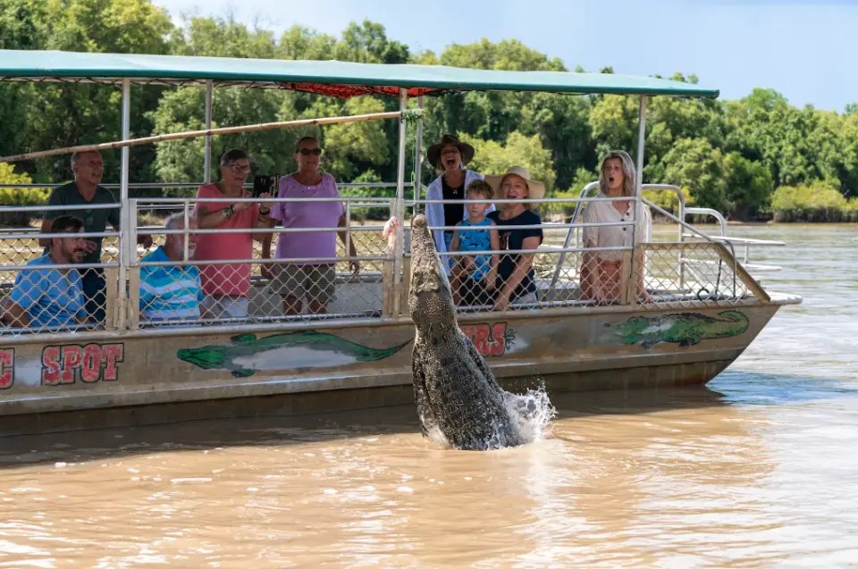 Darwin Airboat & Jumping Crocodile Spectacle