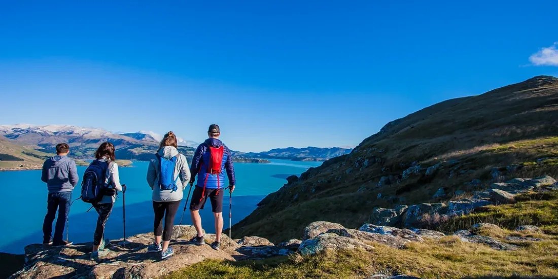Crater Rim Guided Walk: Volcanic Harbour from the Sky