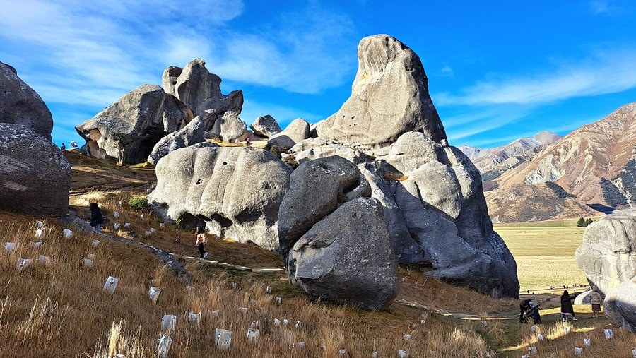 Castle Hill & Inland Canterbury: Sacred Limestone Wilderness