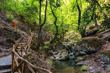 Valley of the Butterflies: Private Nature Walk & Petaloudes Reserve