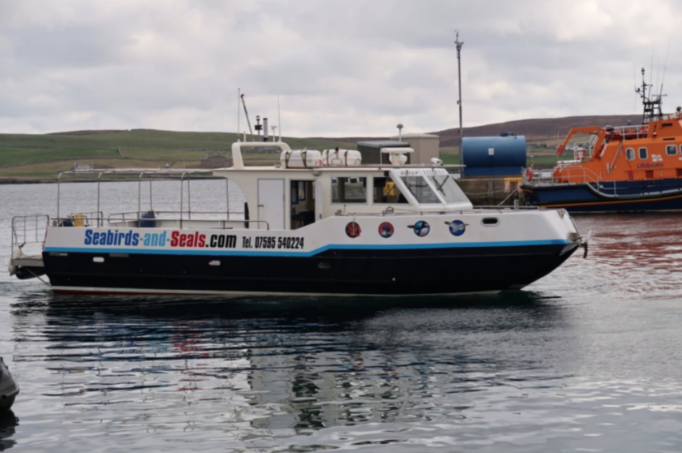 Shetland With Laurie: 30-Year Expert Noss Seabirds & Seals Boat Tour