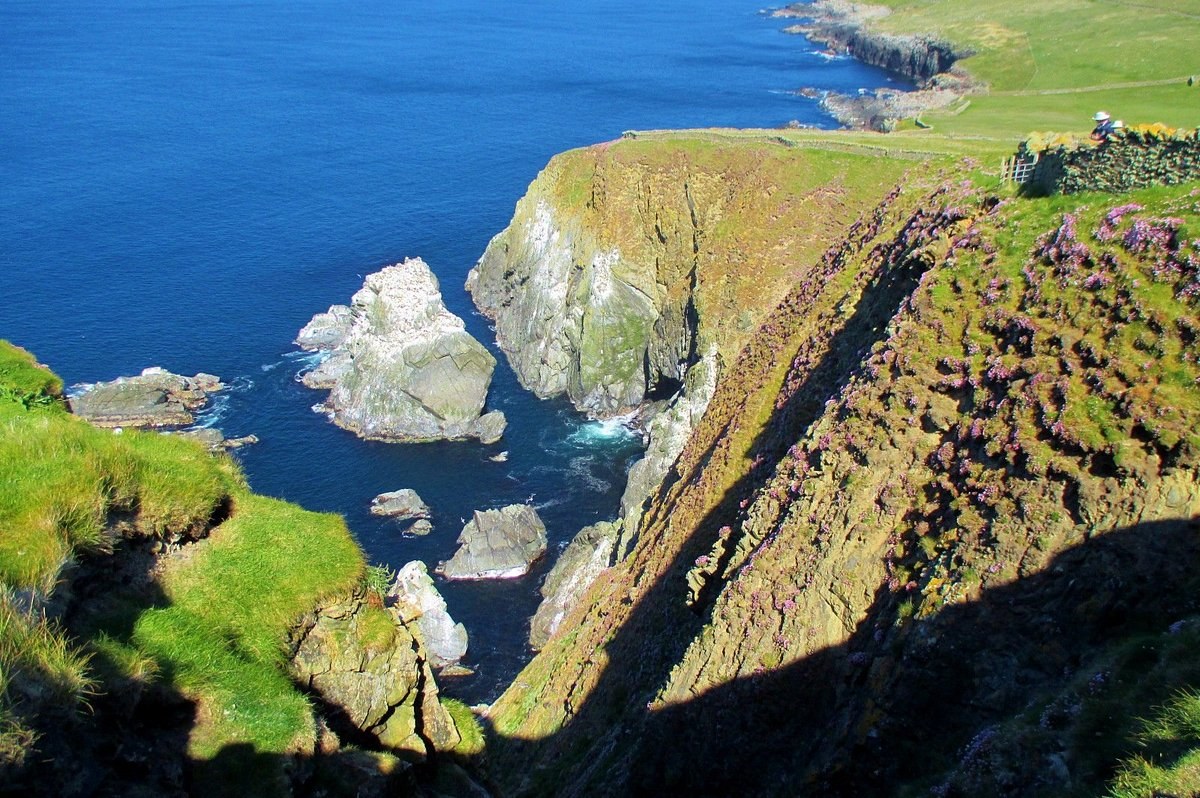 Sumburgh Head Lighthouse & Puffin Colony Experience