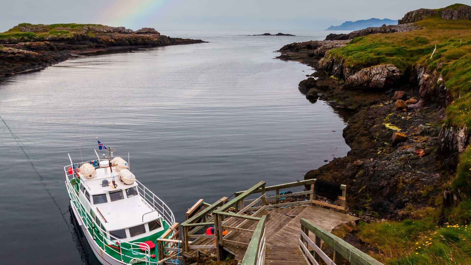 Papey Island: Guided Puffin & Wildlife Boat Safari