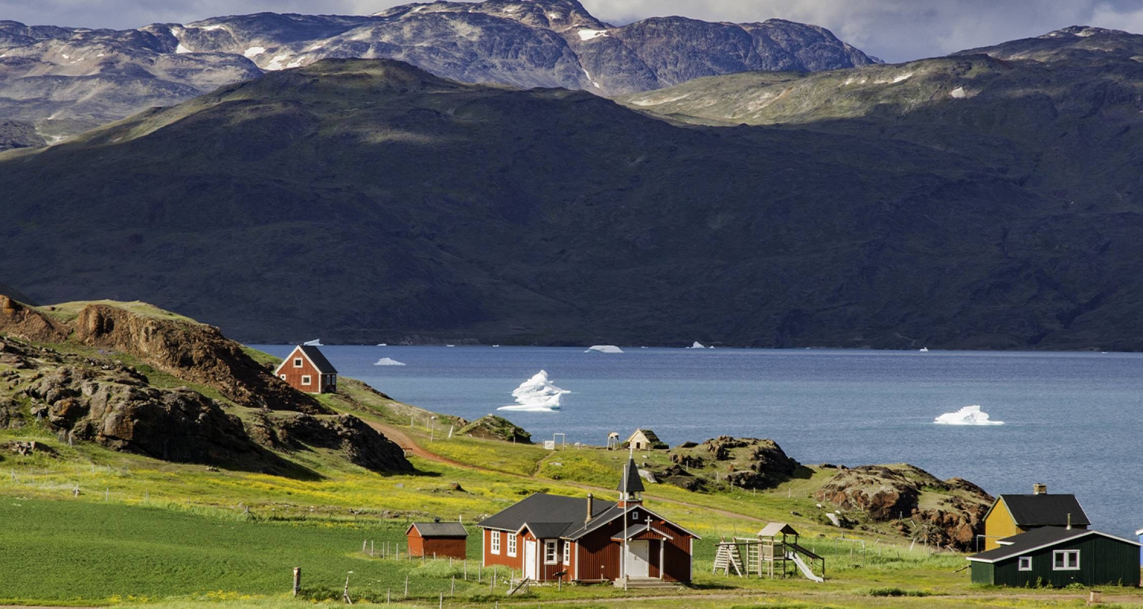 South Greenland Wildlife & Seabird Safari by Private Boat