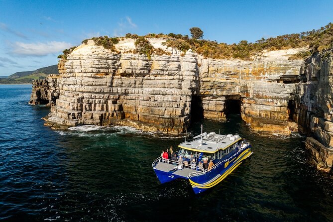 Cape Raoul Cruise: 90-Minute Dolerite Columns & Wildlife Safari