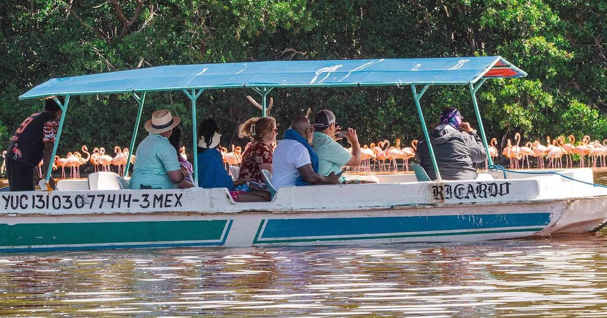 Flamingo Lagoon Mangrove Boat & Pristine Private Beach Lunch