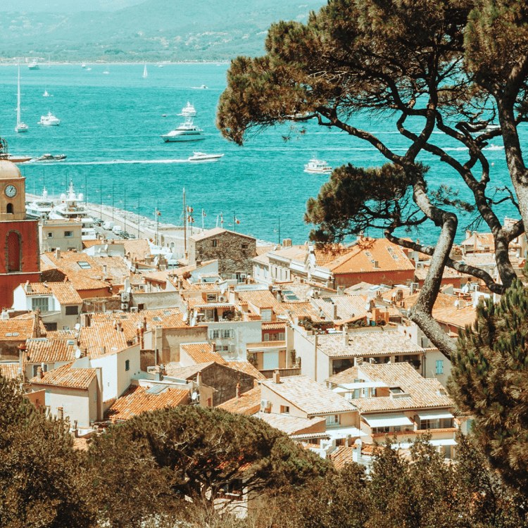 Provence Wine Tasting: St. Tropez Region in a Small Group
