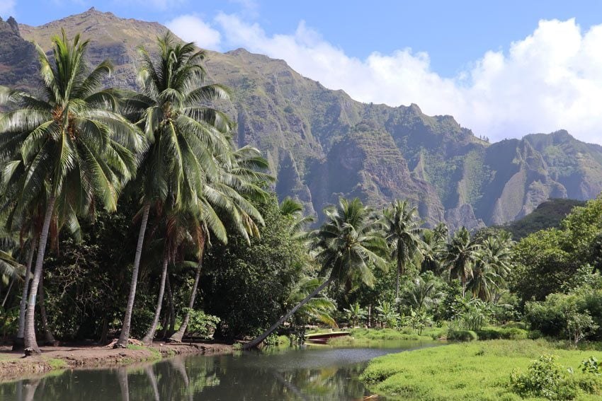 Vaipo Waterfall Expedition: Hakaui Valley Full-Day Trek