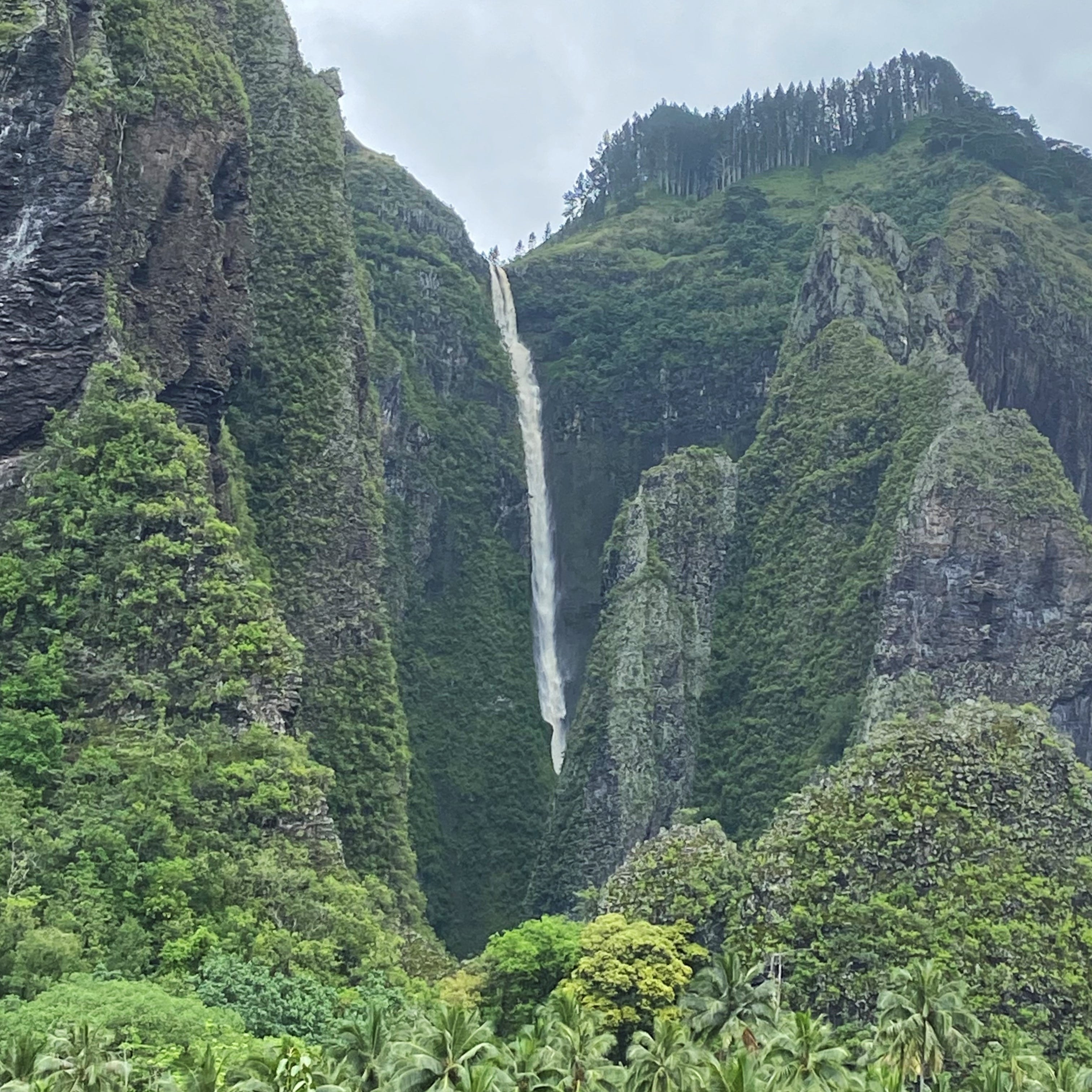 Taipivai Valley & Grand Canyon of Nuku Hiva: 4×4 Cultural Journey