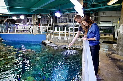 Aquarium of the Pacific: Behind-the-Scenes Private Tour