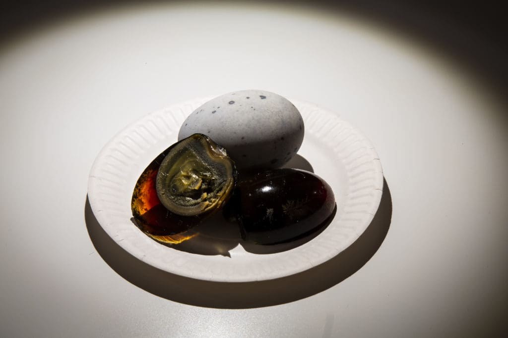 Disgusting Food Museum: A Provocative Culinary Masterclass