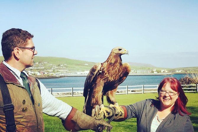 Kingdom Falconry Dingle: Private Hawks & Wild Landscape Experience