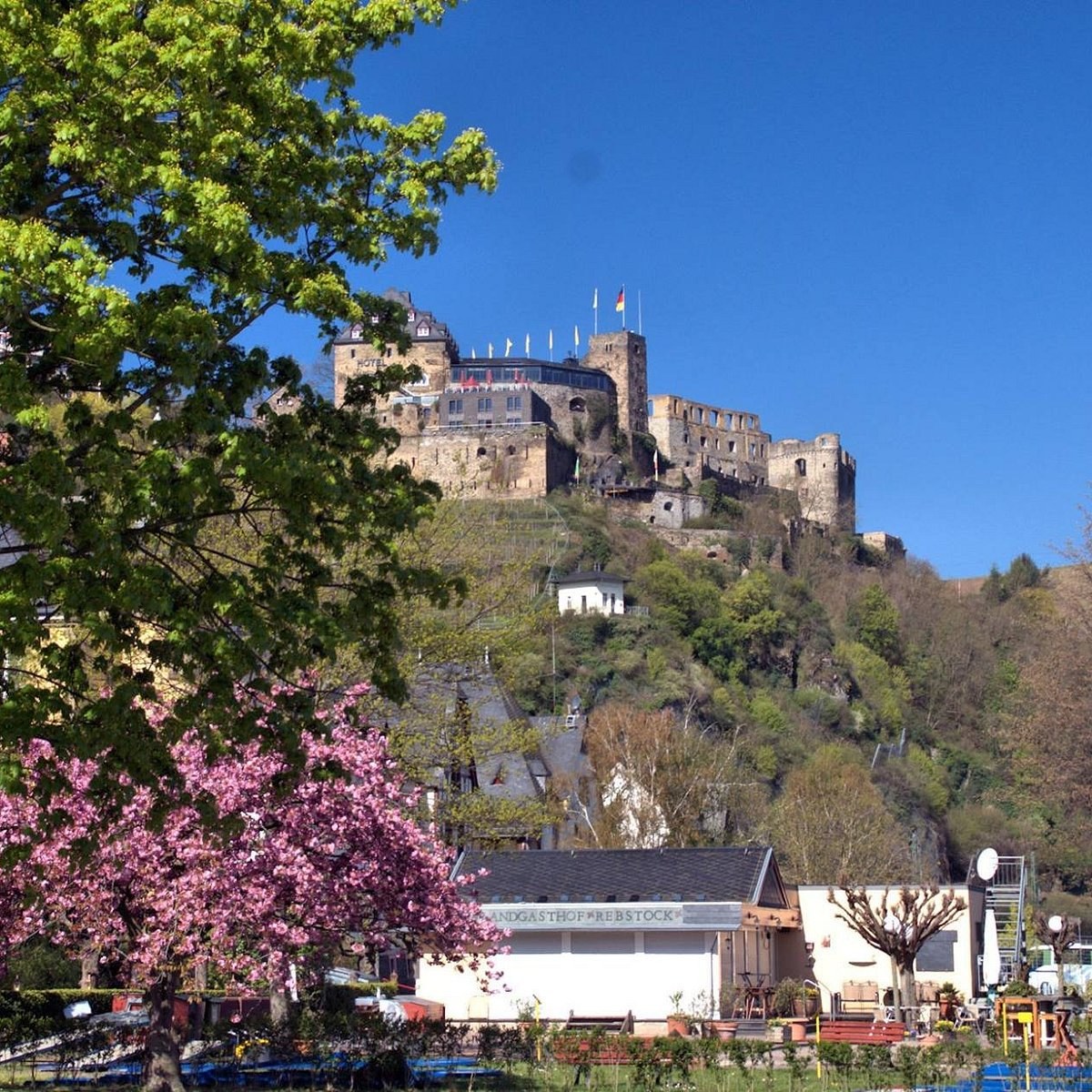 Rheinfels Castle Ruins & St. Goar: Private Wine & History Experience