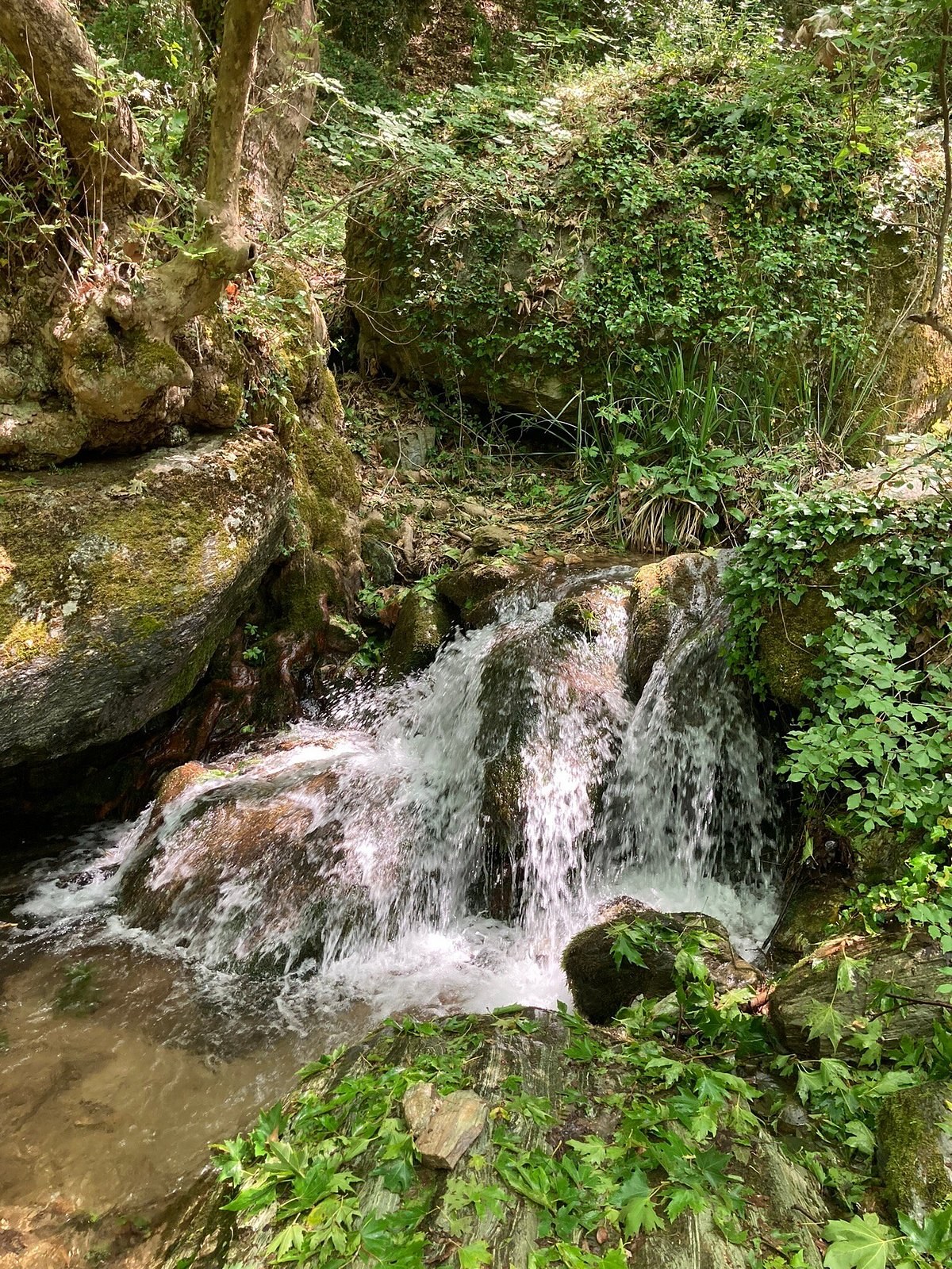 Centaurs' Path Hiking Experience on Mount Pelion