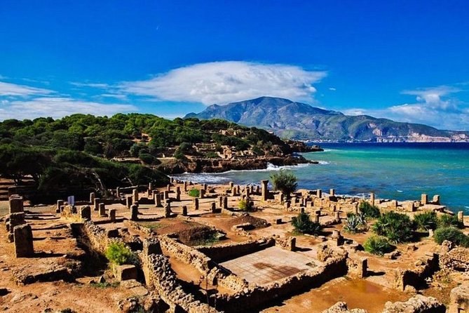 Tipaza Roman Ruins & Cherchell Museum: Full-Day Private Shore Tour