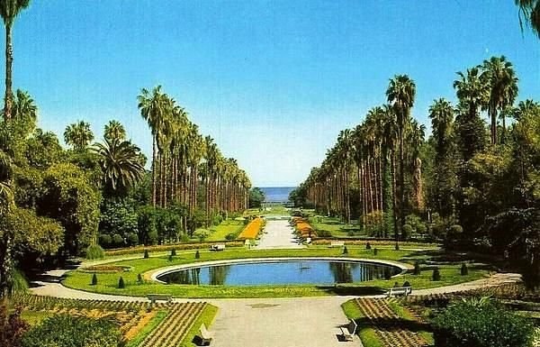 Jardin d'Essai du Hamma: Private Botanical Garden & Art Deco Algiers Walk