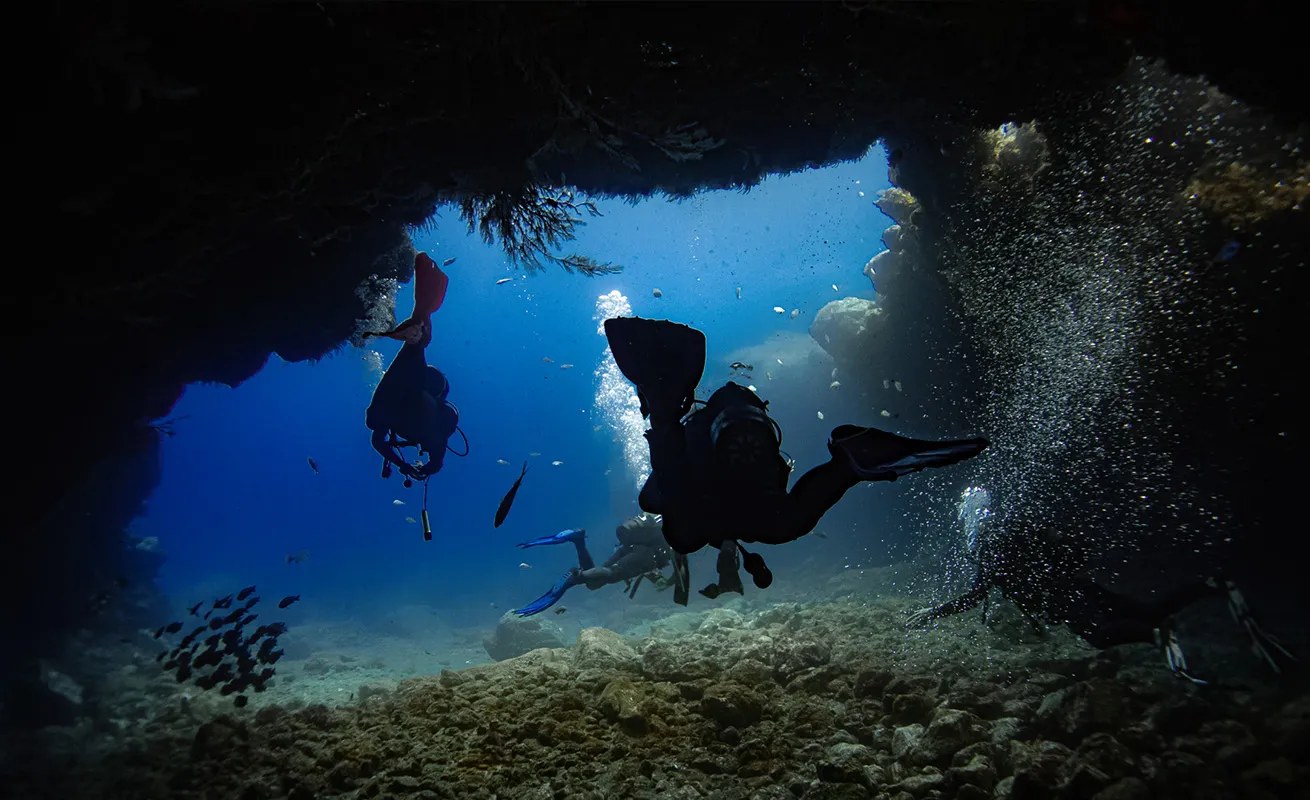 Dive Saint Helena: Pristine Atlantic Reef Scuba Experience