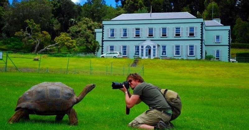 Plantation House & Jonathan the Giant Tortoise: Private Visit