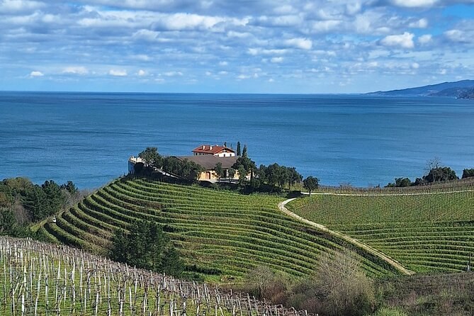 Private Pintxos & Txakoli Wine Crawl in Parte Vieja