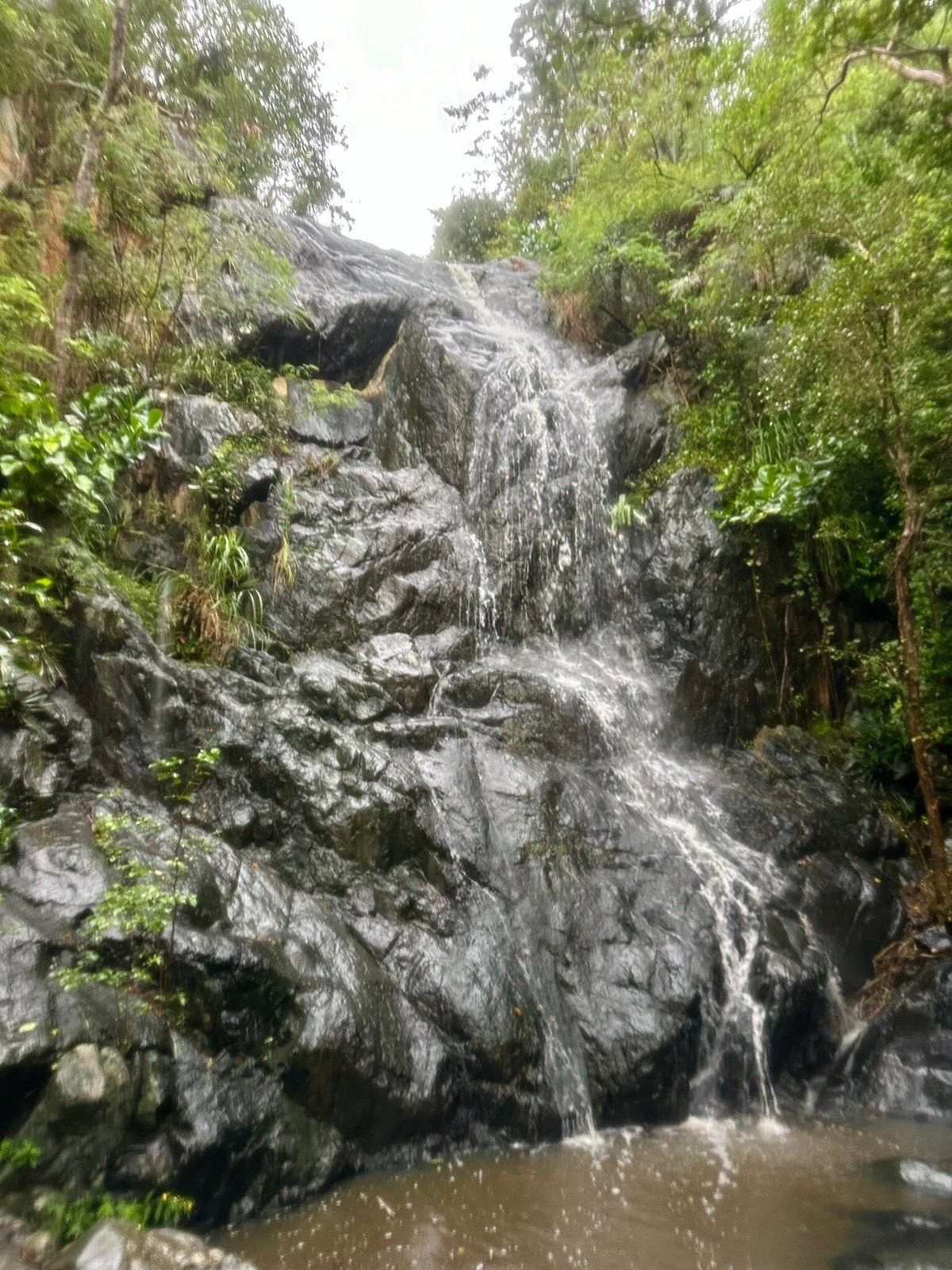 Reef Bay Trail Hike: Petroglyphs, Ruins & Waterfall