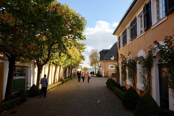 Private Rheingau Wine Estate Tour & Cellar Tasting at Schloss Johannisberg