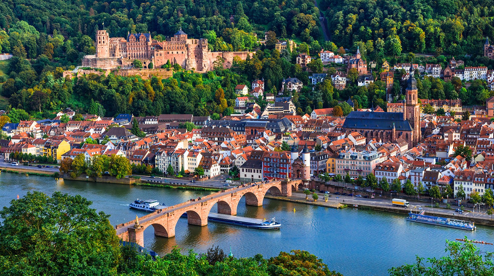 Private Guided Cycling Tour: Rhine Villages & Vineyard Backroads