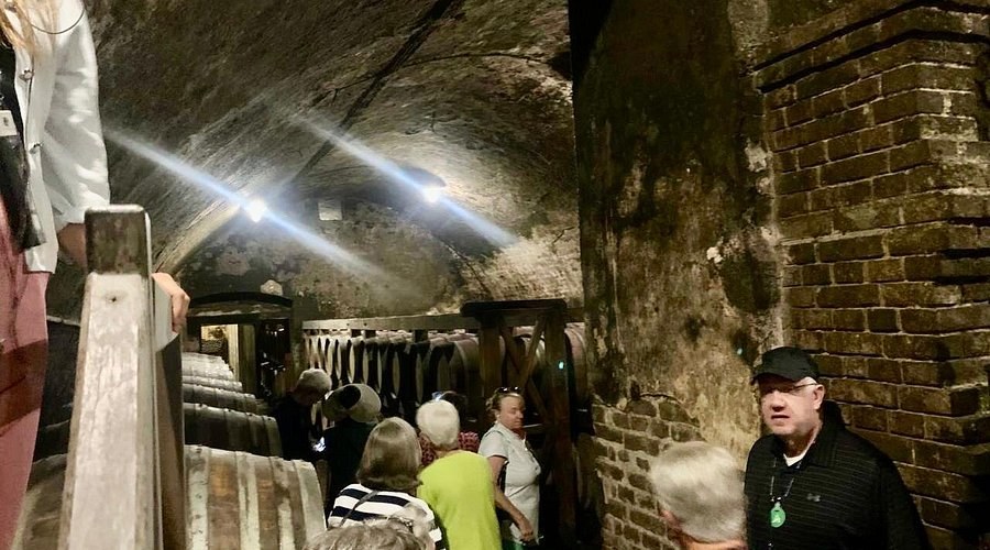 Ilok Royal Cellars: Private Wine Tasting in a Medieval Vault