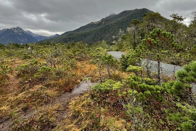 Tongass National Forest Private Guided Wilderness Hike