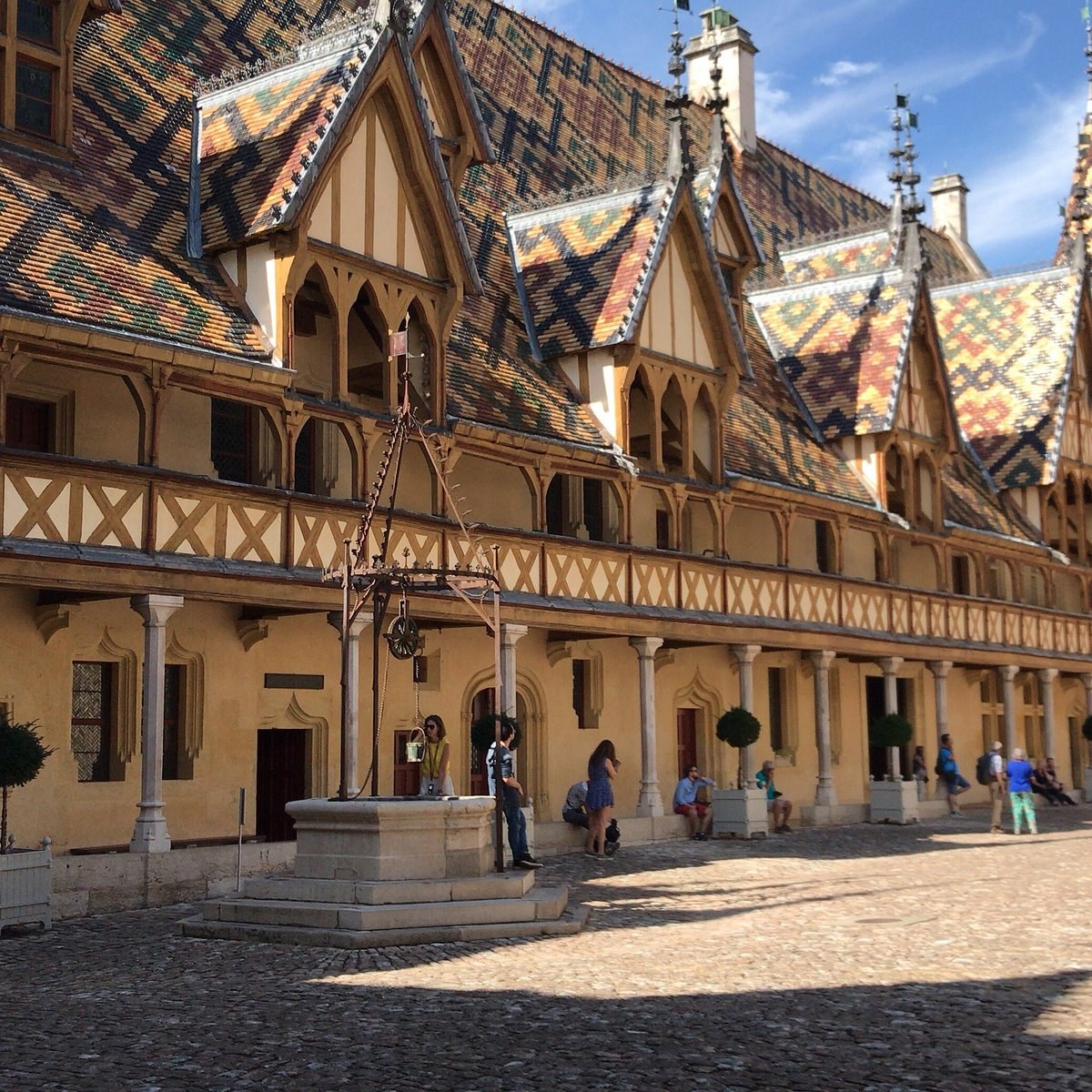 Hospices de Beaune: Private After-Hours Château Visit