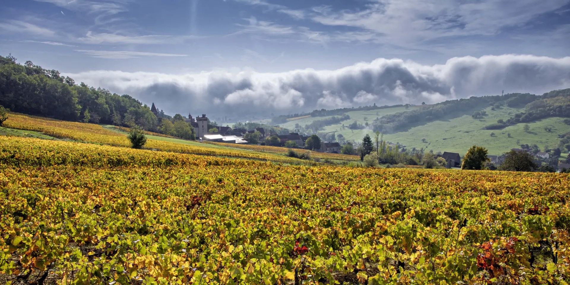 Côte Chalonnaise Private 4x4 Vineyard & Château Wine Tour